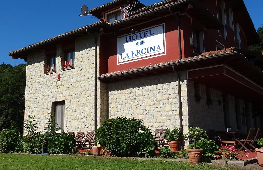 Hotel La Ercina-1