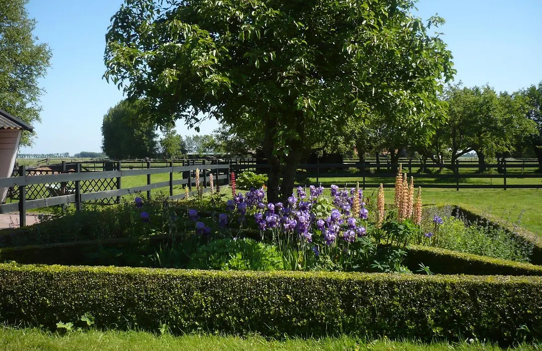 Shepherds House B&B-1
