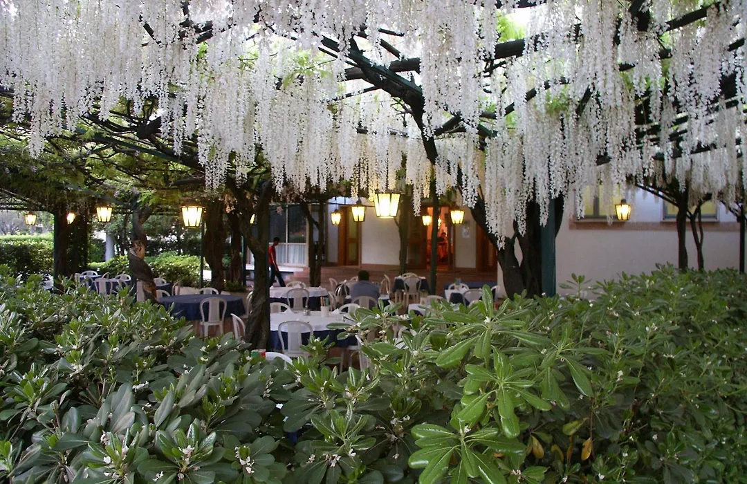 Albergo Ristorante Papa-1
