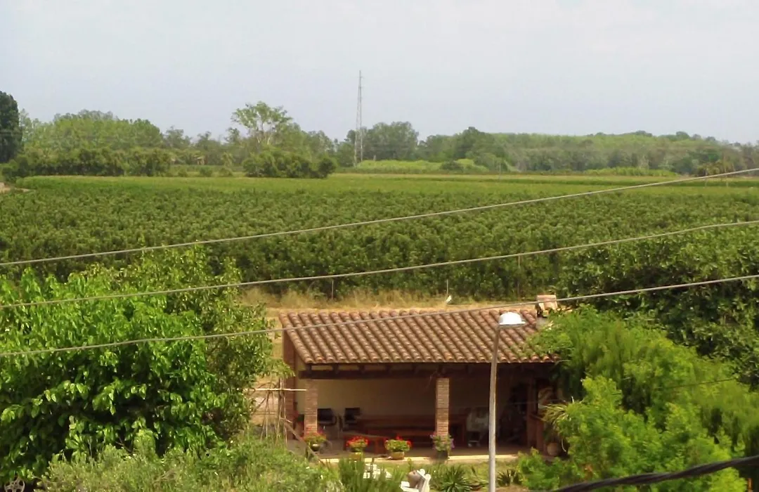 La Masia-1