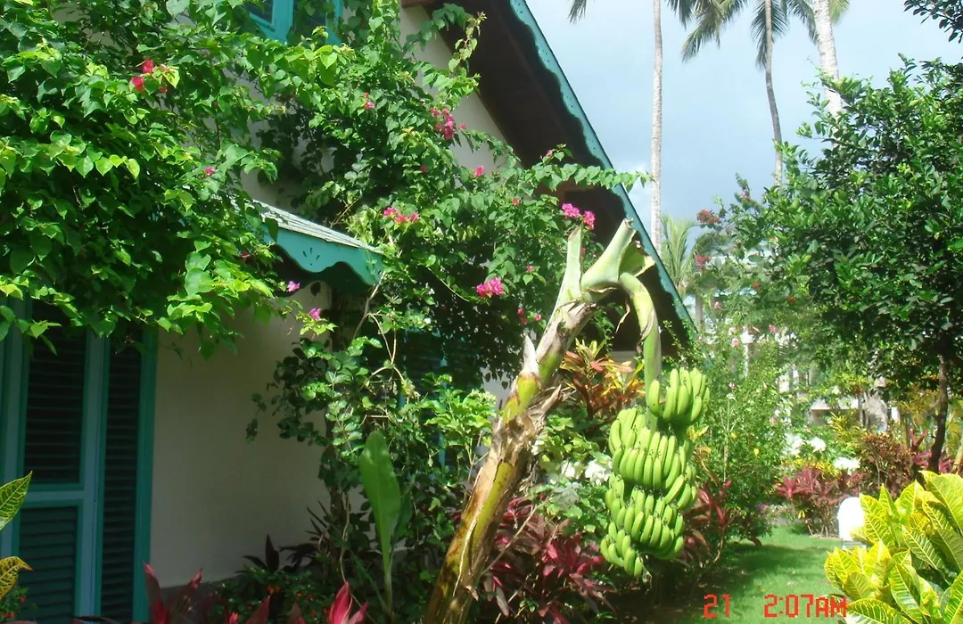 Hotel Playa Colibri-1