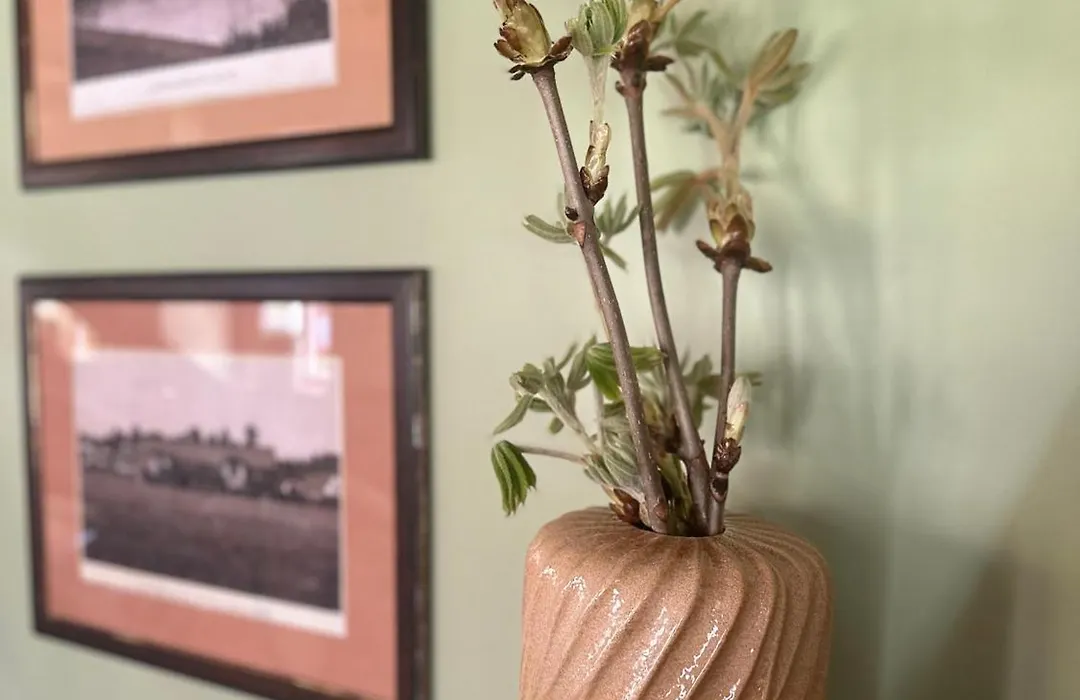 Vila Flora-1