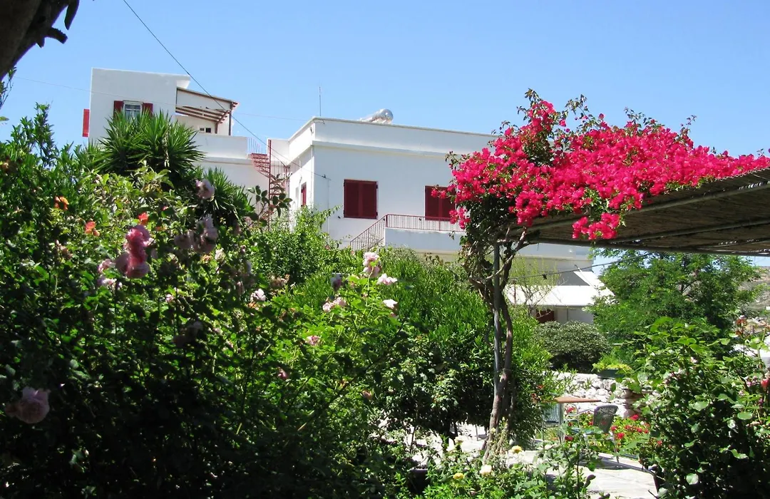 Anna Studios-1
