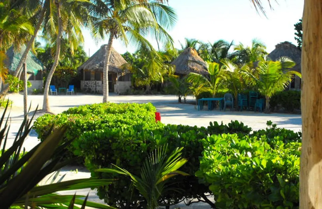 Costa De Cocos-1
