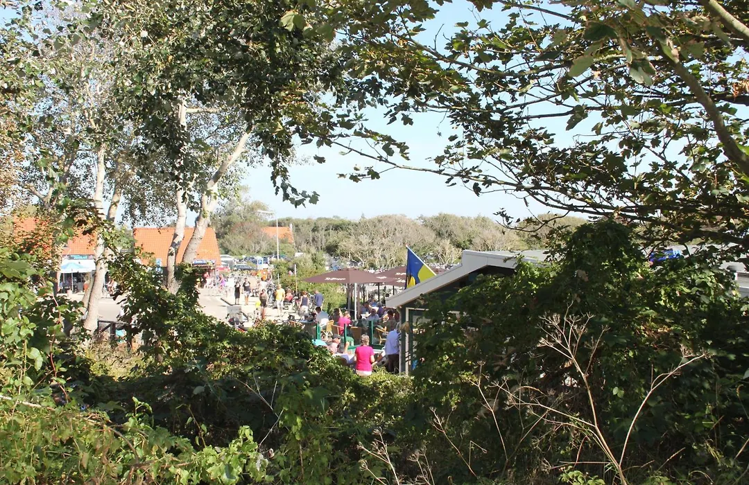 De Zilvermeeuw-1