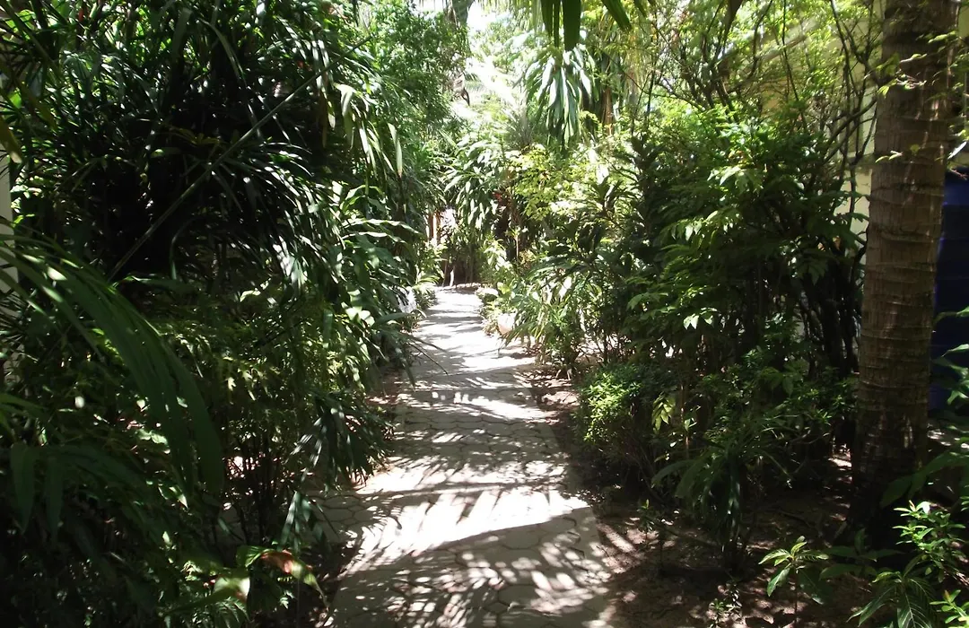 The Chess Samui-1
