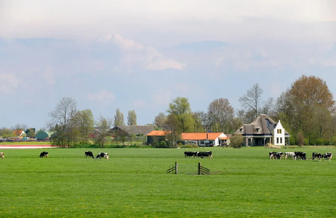 Hotelhuisjes Oosterleek-1