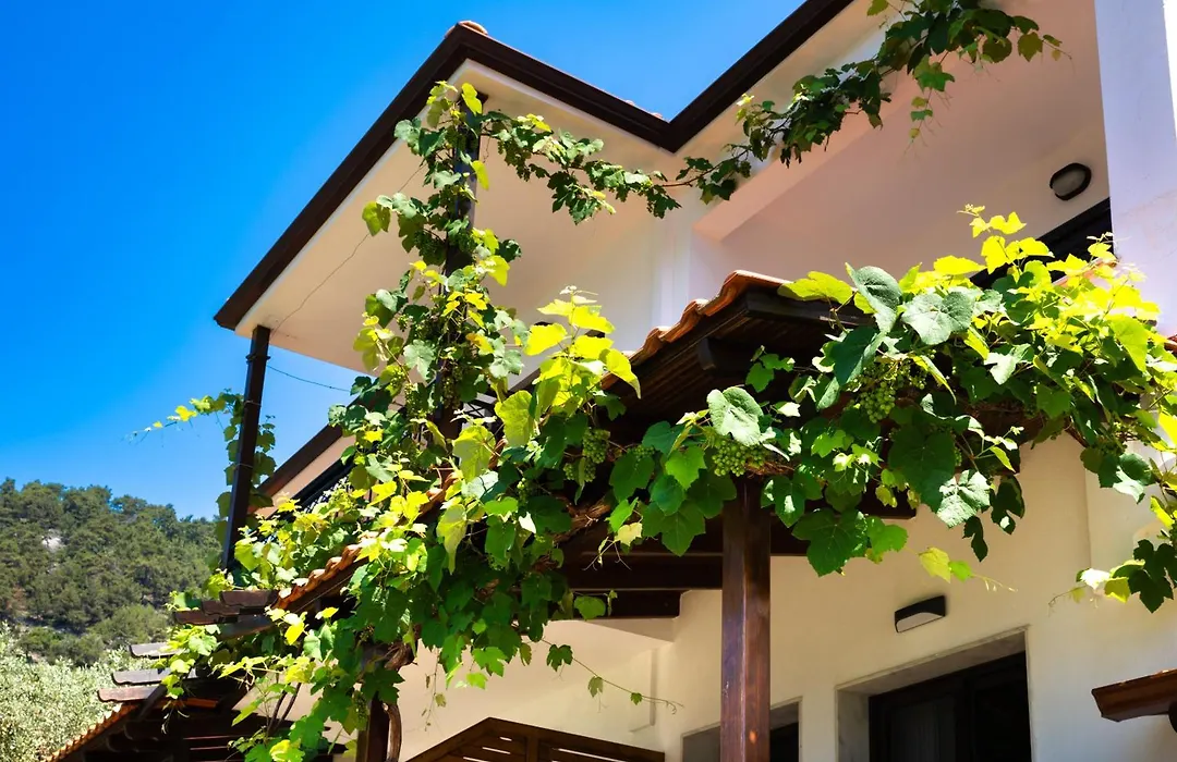Island View Villa-1