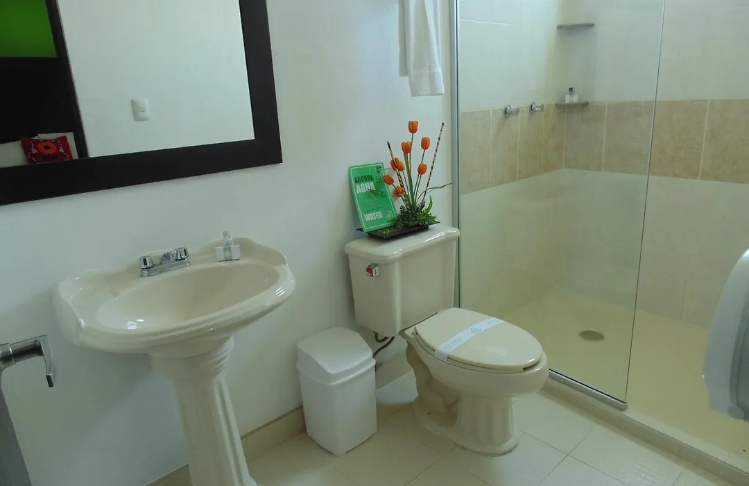 Chiapas Hotel Express-1