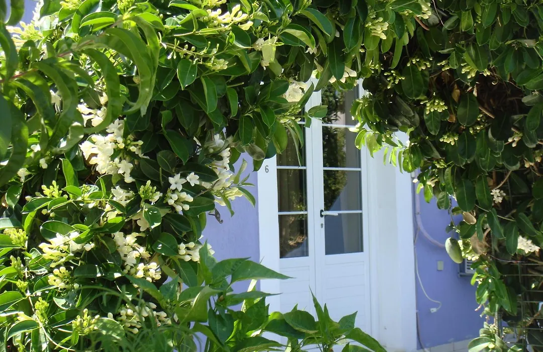 Villa Eliza-1