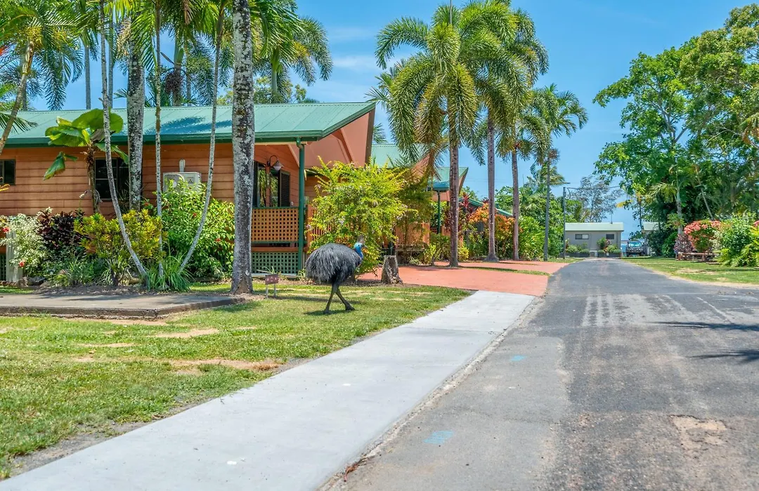 Big4 Tasman Holiday Parks - South Mission Beach-1