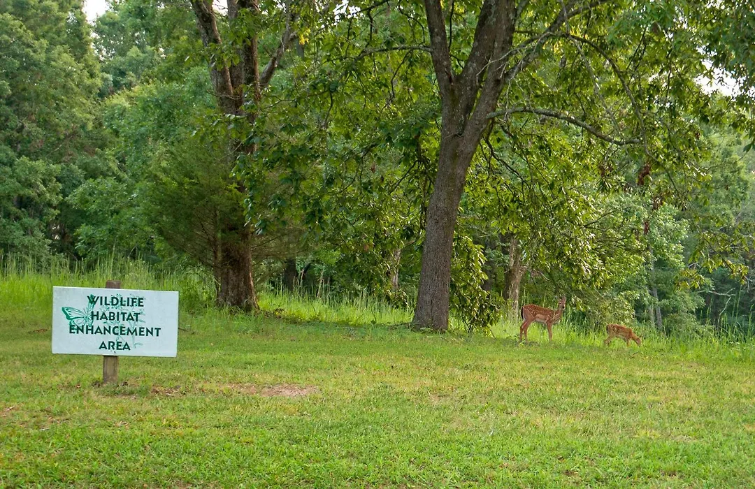 Barren River Lake State Resort Park-1