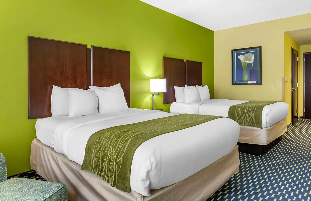 Comfort Inn Athens I - 75-1
