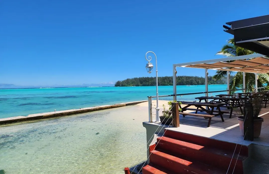 Hotel Hibiscus-1