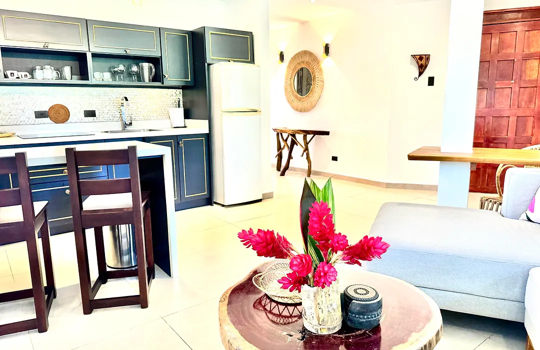 Ecotica Boutique Hotel & Spa (Adults Only)-1