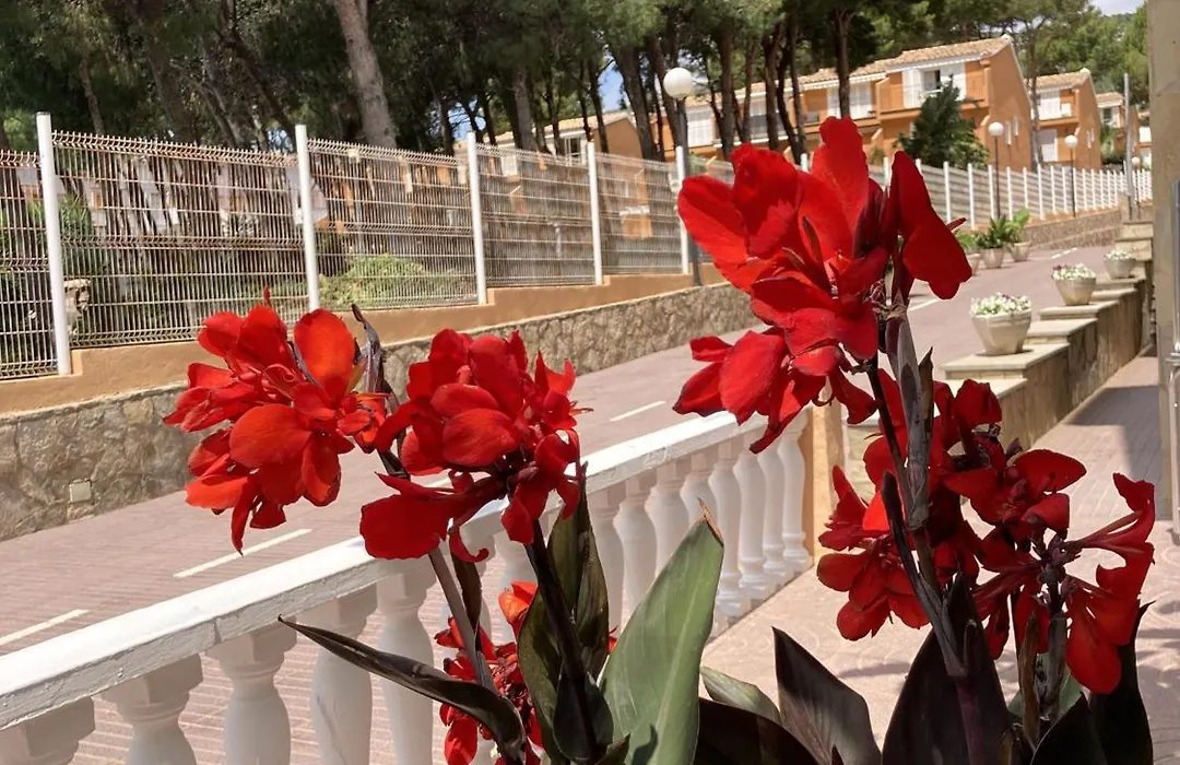 Hotel Sancho III-1