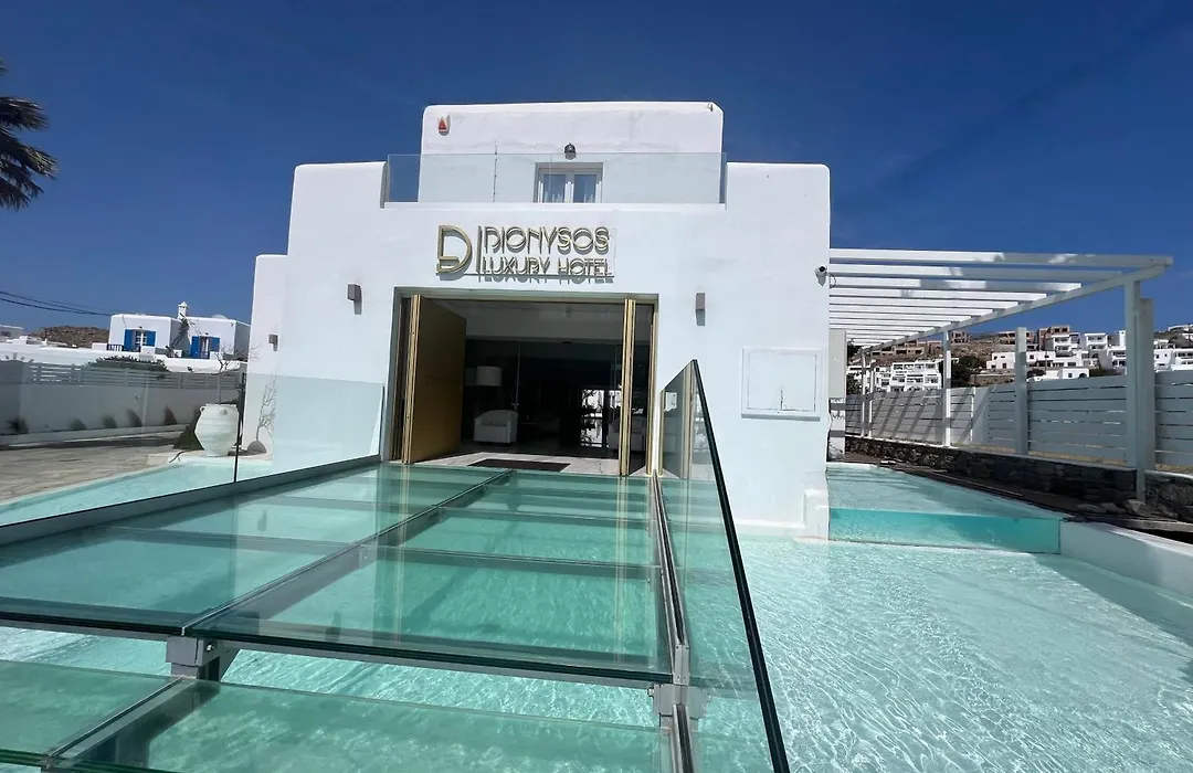 Dionysos Luxury Hotel Mykonos-1