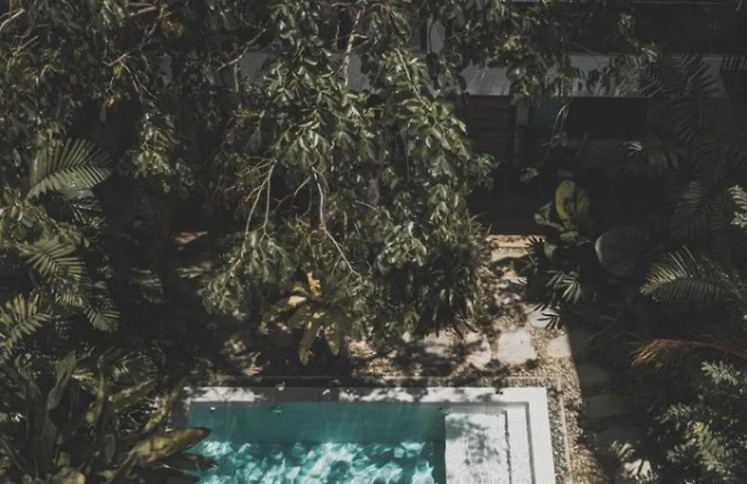 Frangipani El Nido-1