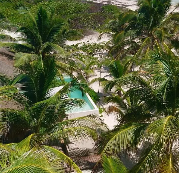 Almaplena Boutique Hotel-1