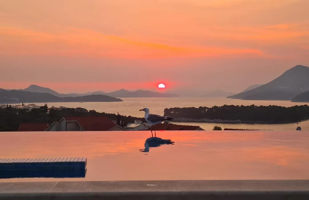 Villa Antea Apartments With Free Parking-1