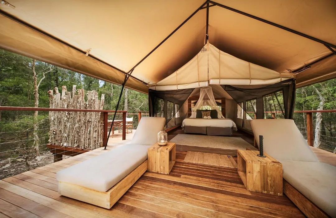Paperbark Camp-1
