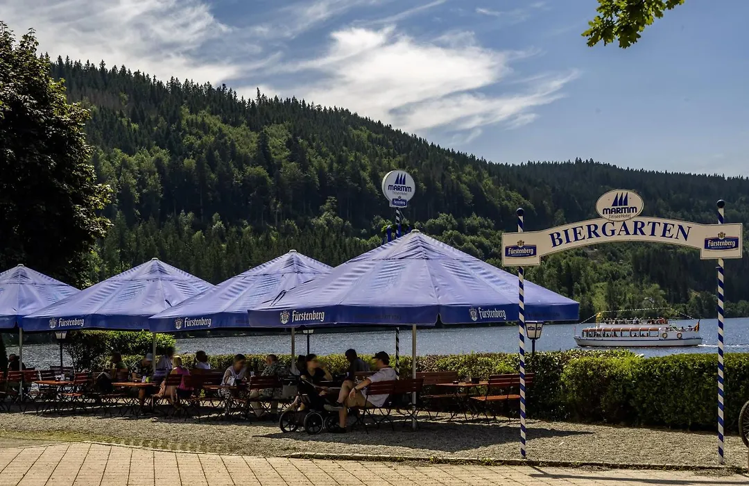 Maritim Titisee Hotel-1
