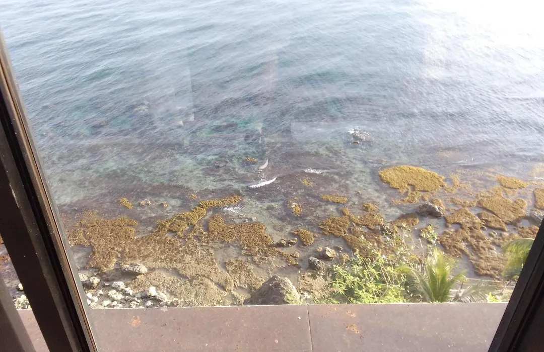 Cliff Haven Resort-1