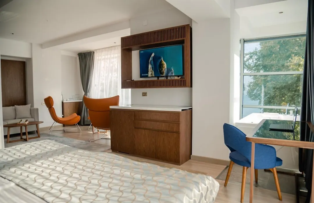 Hotel Drim-1