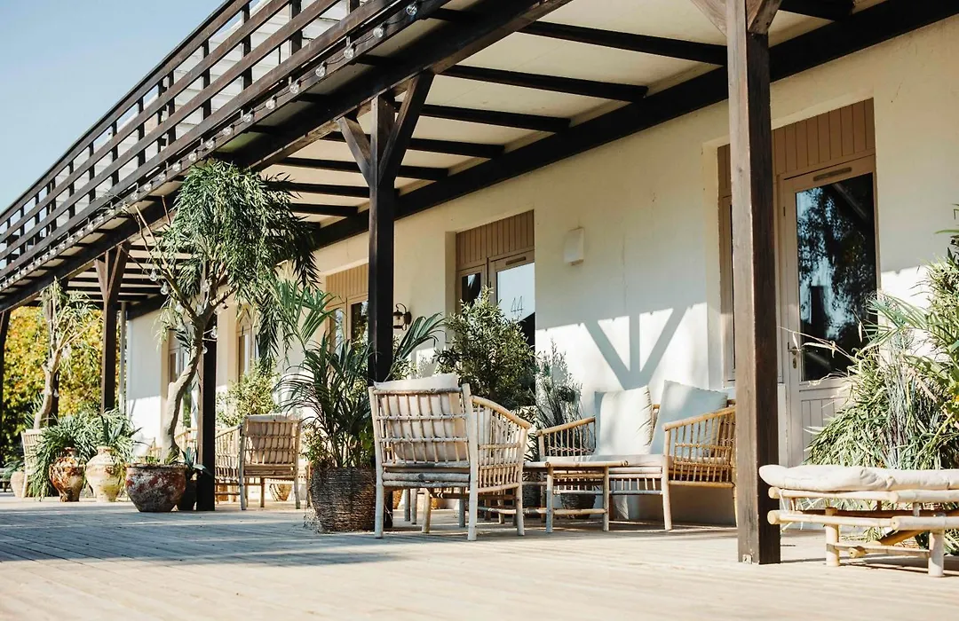 The Falcon Hotel-1