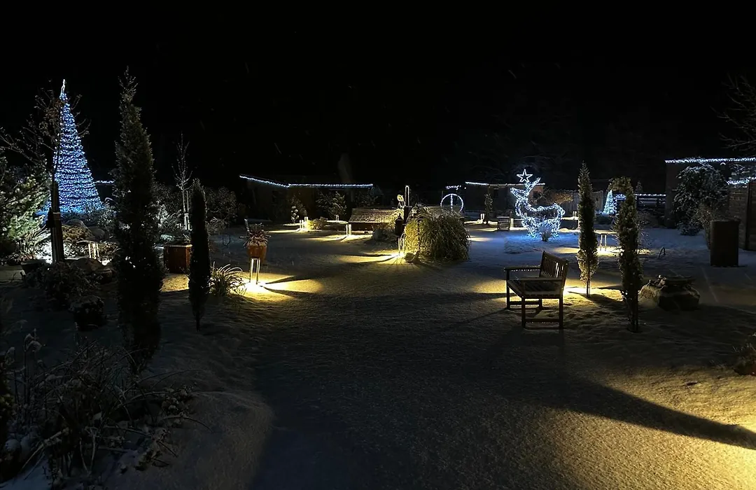 Domaine des graminées-1