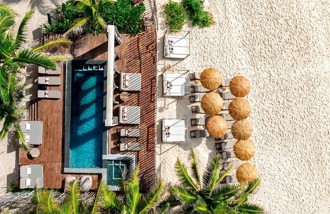 Secrets Tulum Resort & Beach Club (Adults Only)-1
