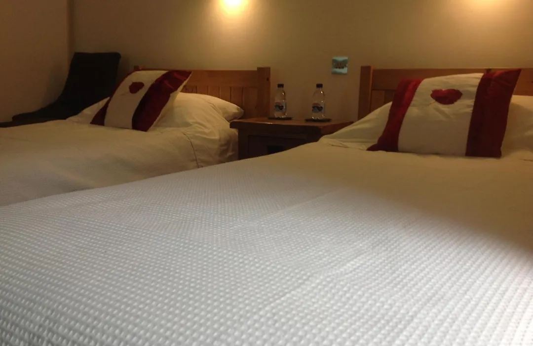 Afon Duad Inn-1