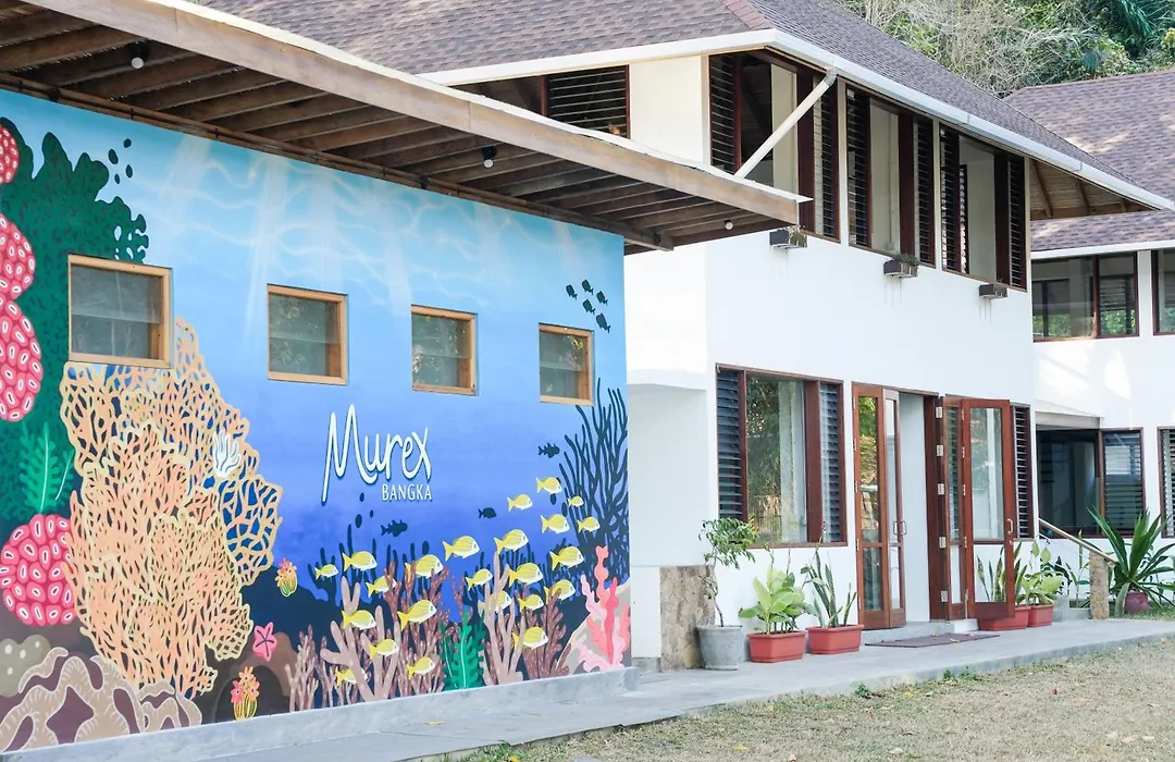 Murex Bangka Dive Resort-1