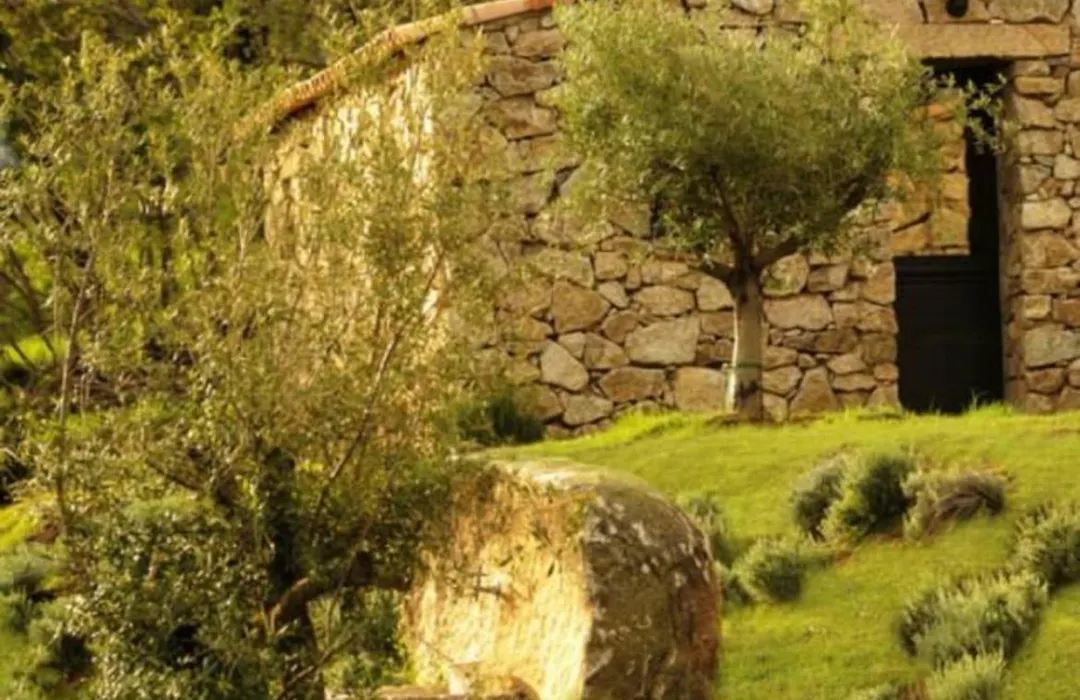 Bergerie du Prunelli-1