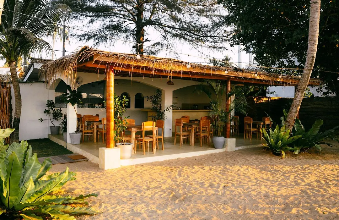 Blue Waves Surf House - Beach Hotel-1