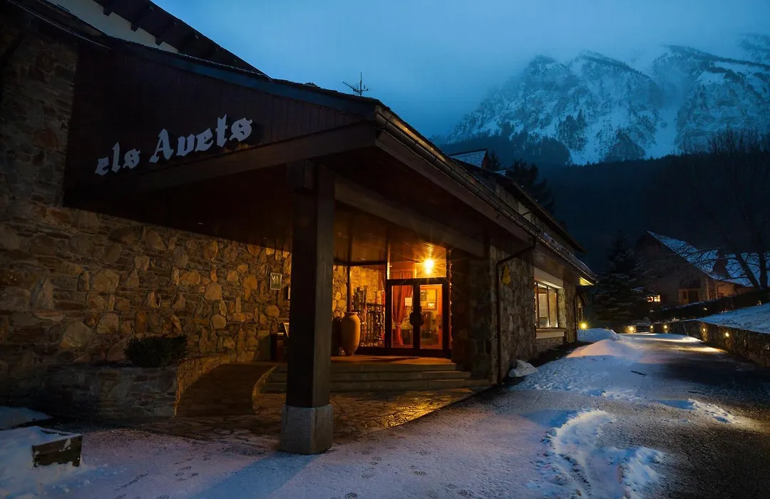 Hotel Els Avets-1