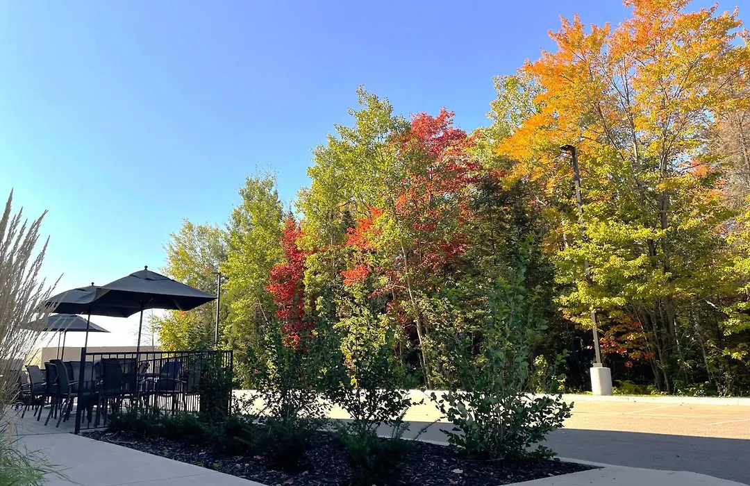 Fairfield By Marriott Inn & Suites North Bay-1