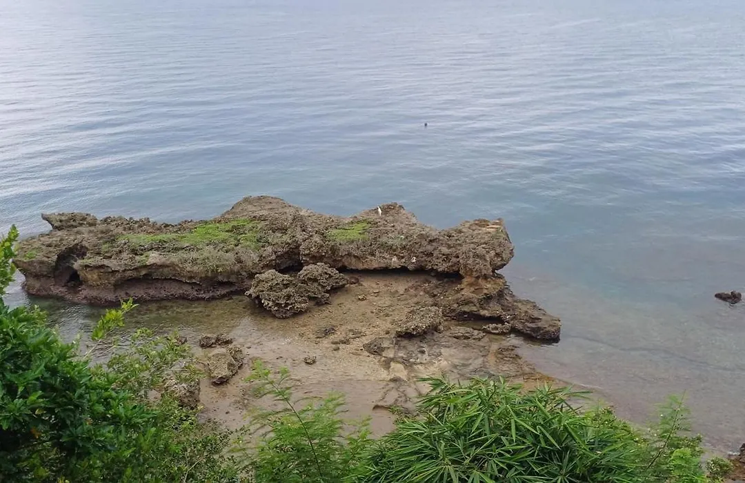 Bohol-Lahoy Dive Resort-1