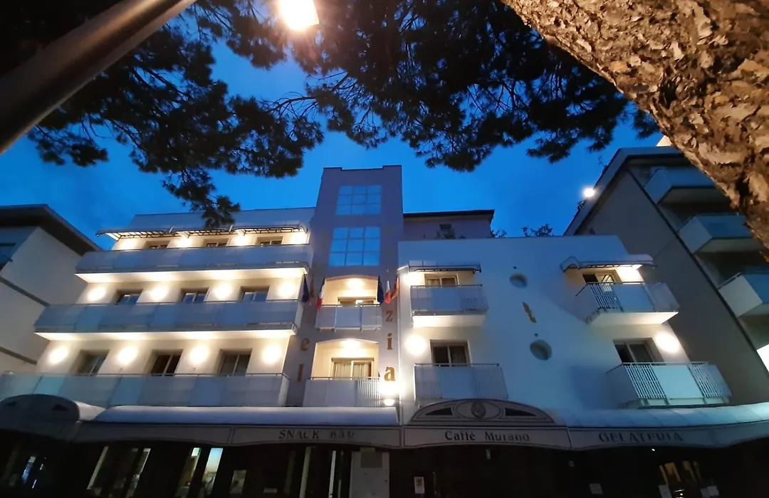 Hotel Venezia-1