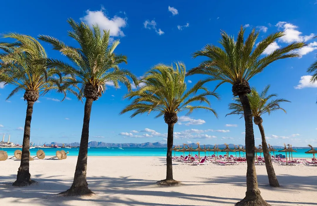 Alcudia Garden Aparthotel-1
