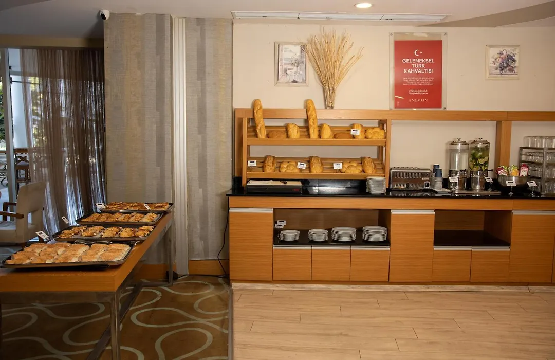 Anemon Grand Adana Otel-1