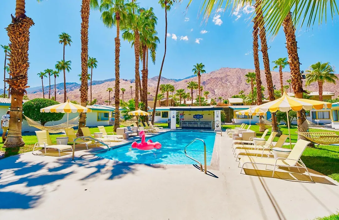 A Place in the Sun: Adults-Only Midcentury Boutique with Heated Pool-1