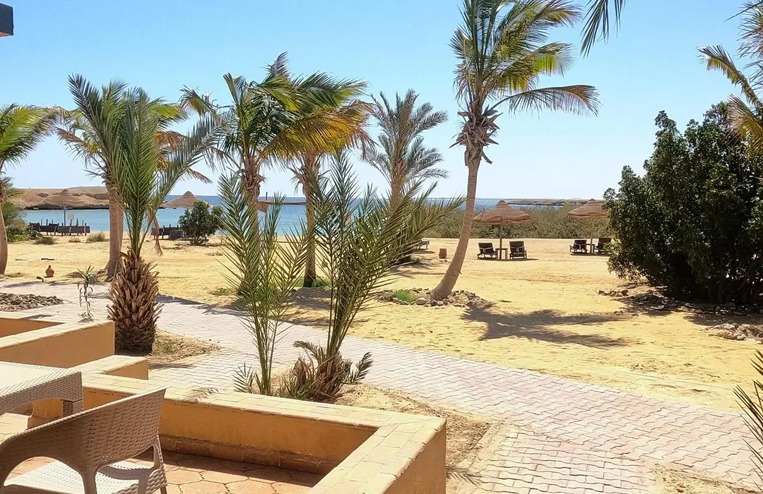 Mangrove Bay Resort-1