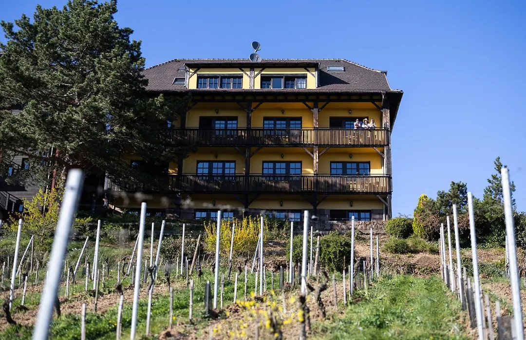 Hôtel Arnold-1