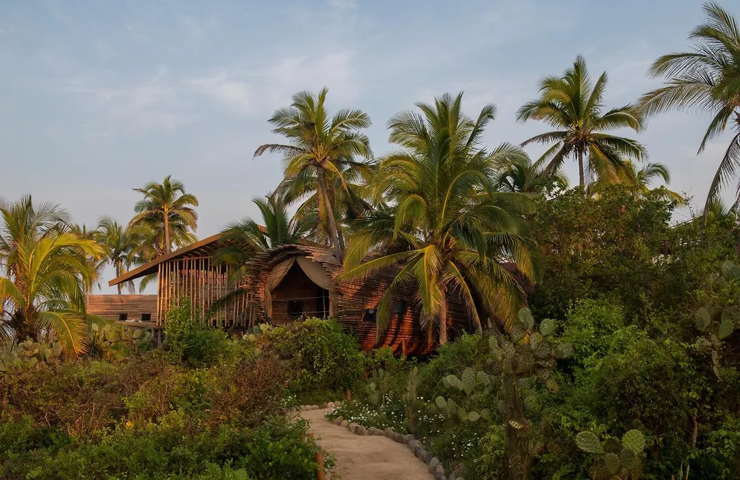 Playa Viva-1