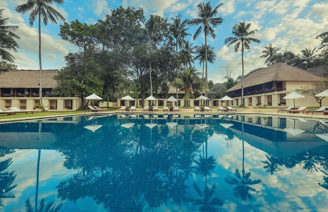 Alila Manggis-1