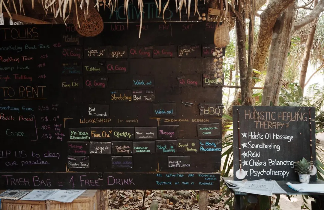 Kactus - Your Island Sanctuary-1