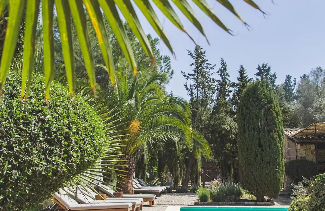 Agroturismo Son Foguero - Adults Only-1