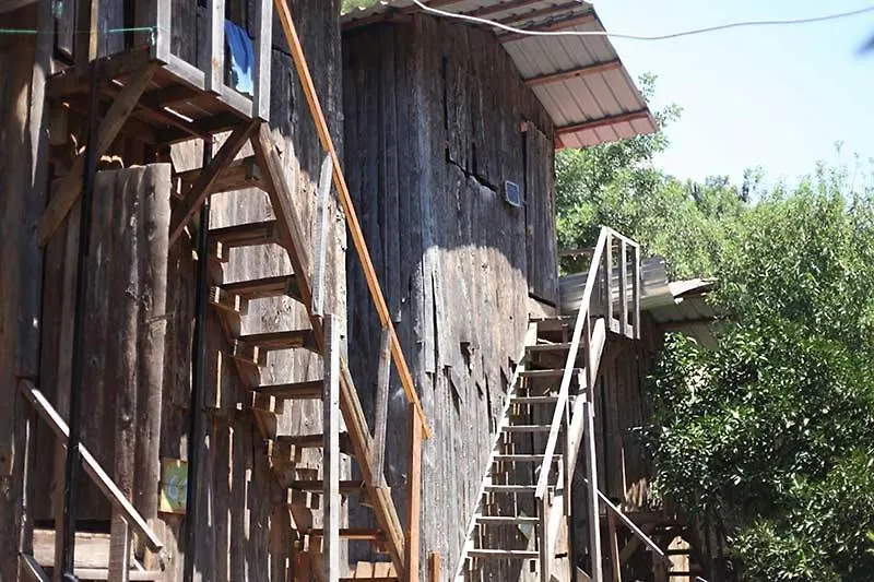 Bayrams Tree Houses-1