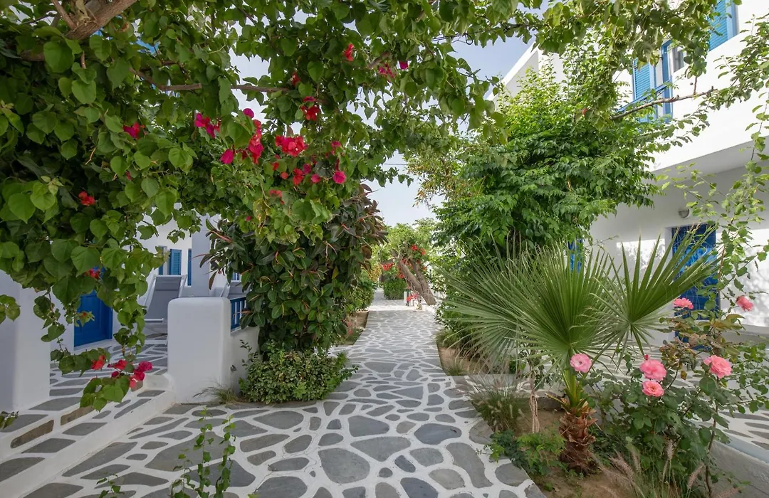 Acrogiali Beachfront Hotel Mykonos-1
